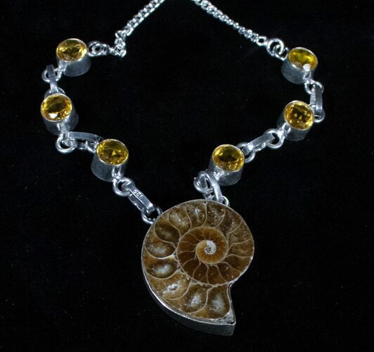 Fossil Ammonite Necklace #3207